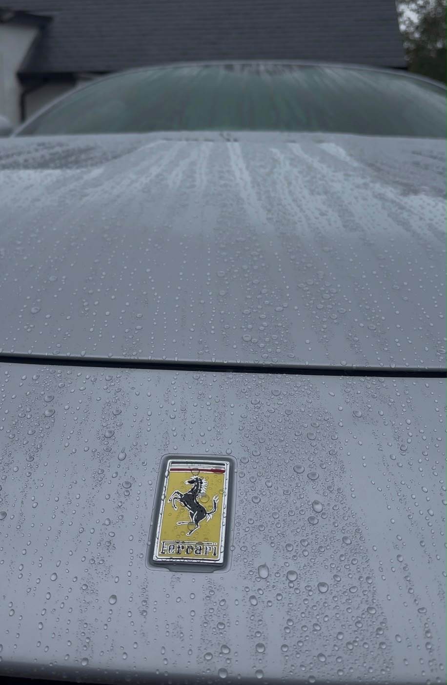 Double O Detailing Gallery - Ferrari